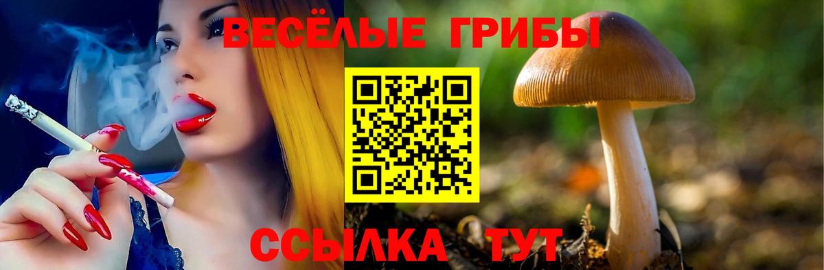 Галлюциногенные грибы Psilocybe Семилуки